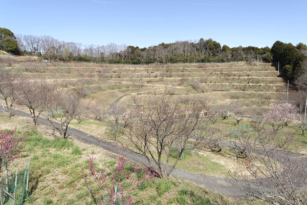 ���������2024-1