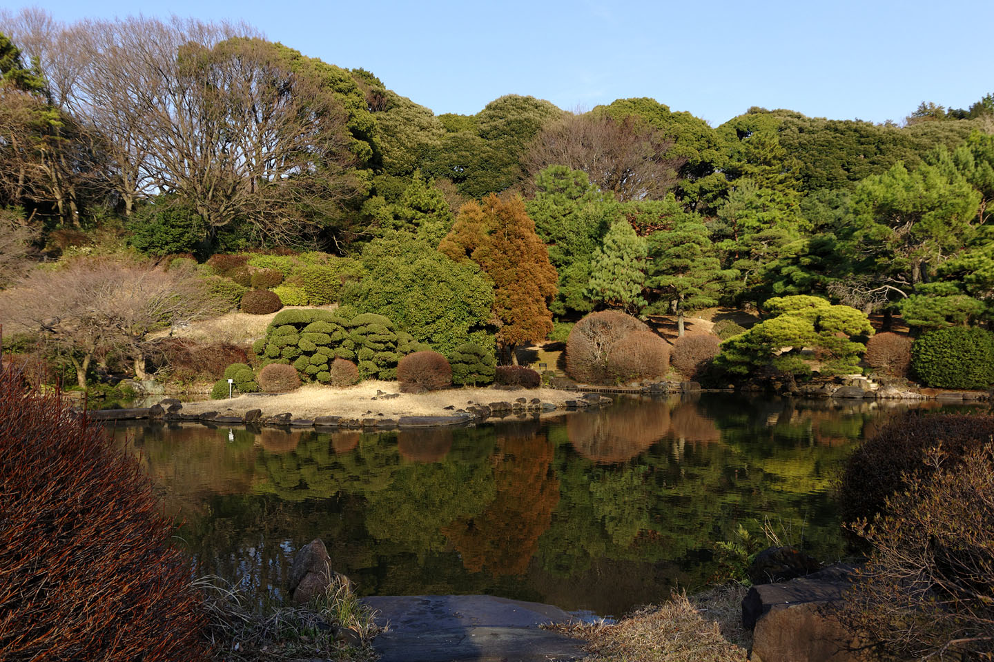 小石川植物園 梅も咲き始めています 15 季節の花だより はなつうwest Blog