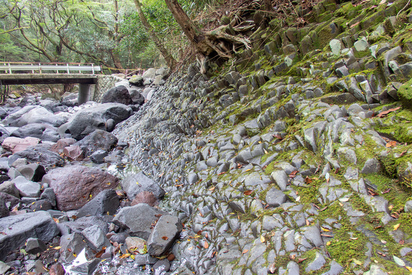 愛鷹山の板状節理2025