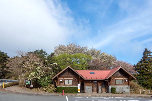 金冠山の桜2024-1