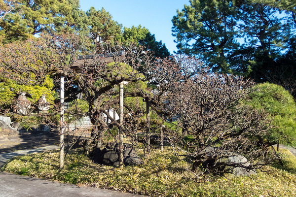 �豿��202501-1