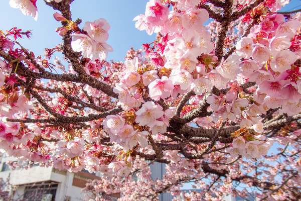 �����ߺ� 2026-3