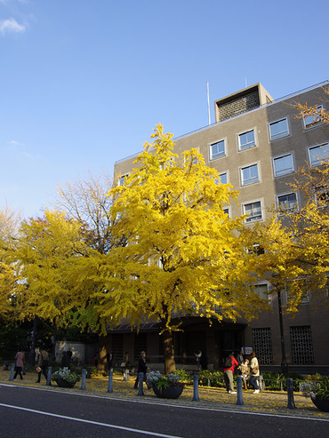 ���͹���2011-1