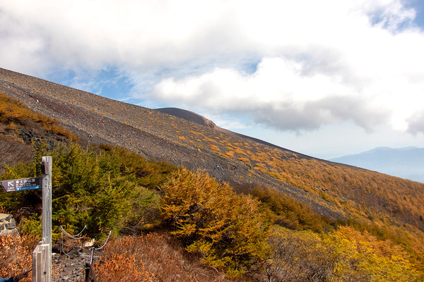 富士山の紅葉2022-1