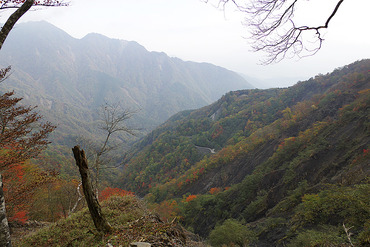 安倍峠2013-1