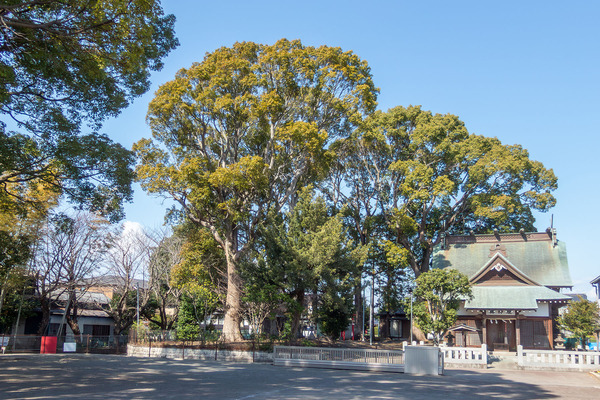 ��ɱ���ҤΥ����Υ� 2026-2