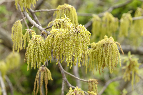 ���̥��β�2024-1