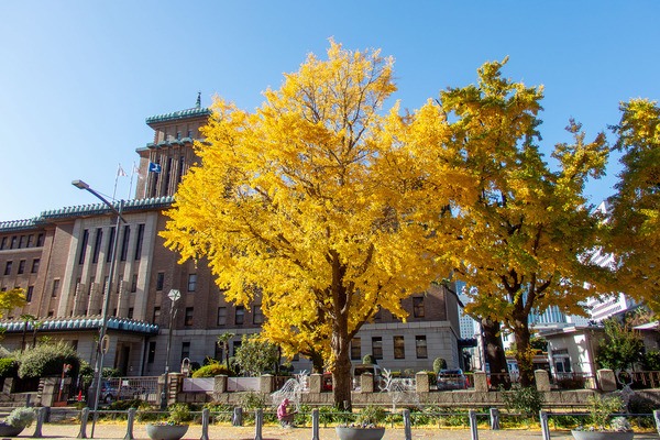 �������̤�ζ�ɤι���2023-2