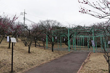 ����ʿ2012-1