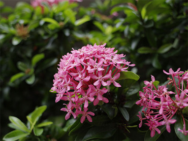 ��������β�