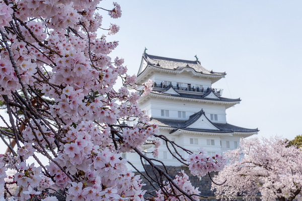 ���ĸ���κ�2002-1