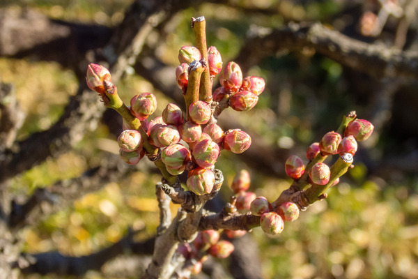 �豿��202501-2