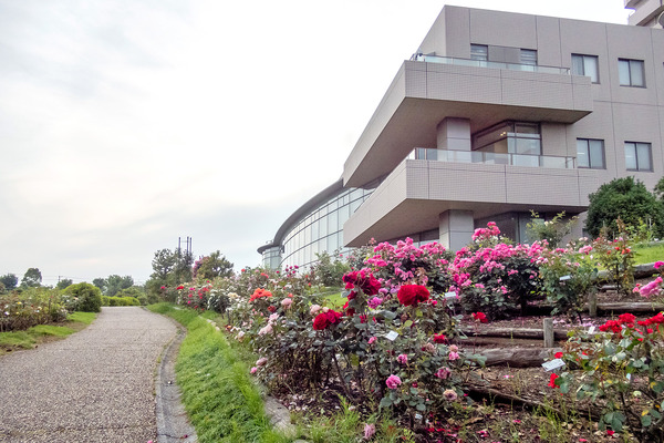 Ų󥻥󥿡ΥХ 2024-1