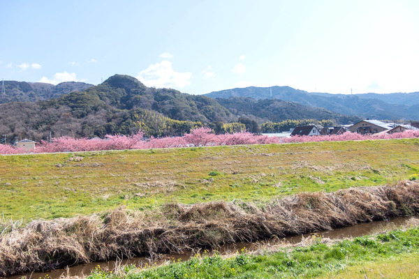 ȡ����������ɤβ��ź� 2026-3