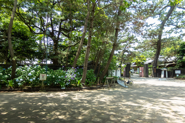 ���Ÿ���š��ǰ����Τ�������2022