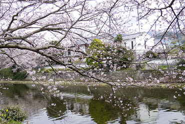 ����Į201403-1