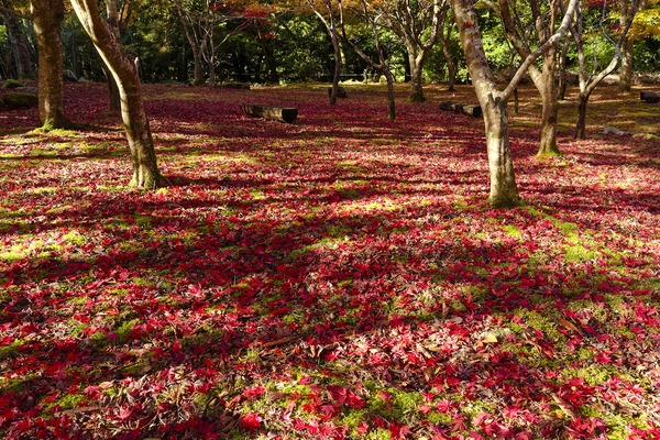 ƻ�α� ŷ��ۤ��ι��� 2023-2