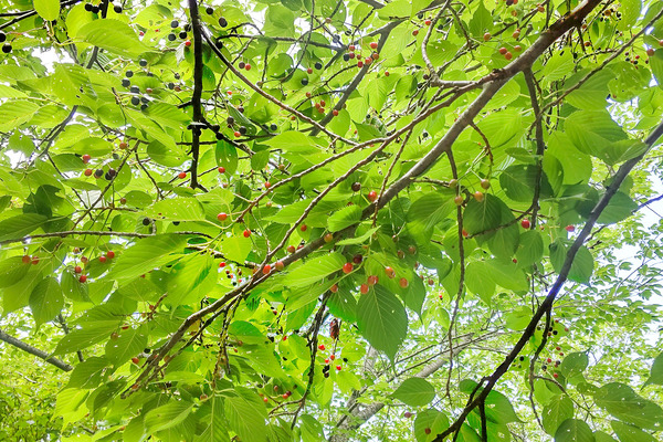 ��������2023