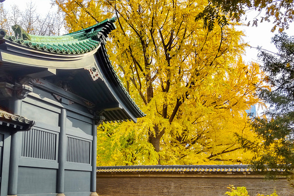 ������Ʋ202112