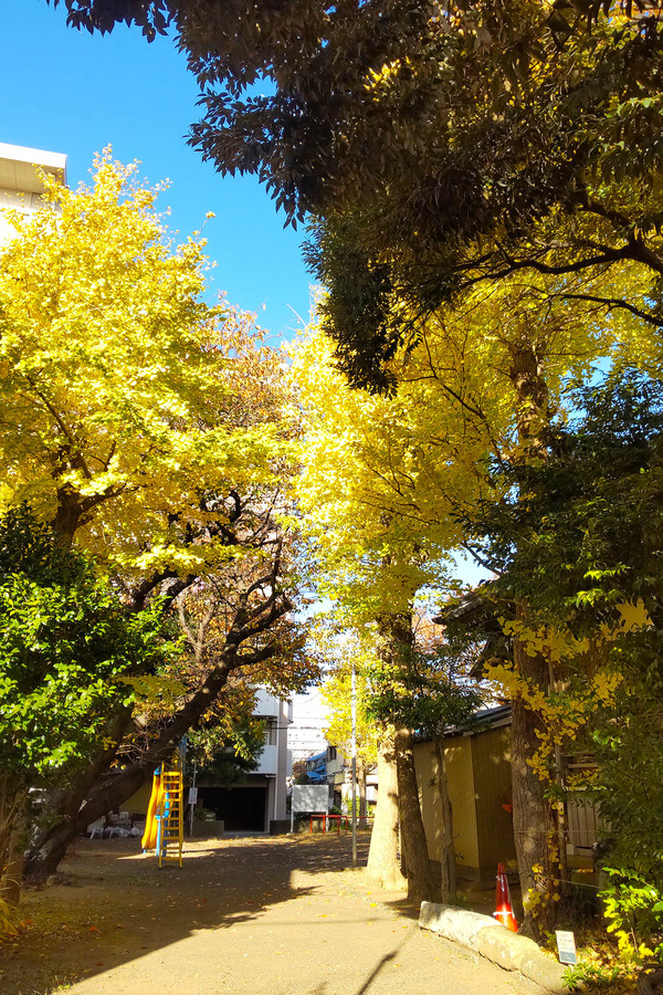 ����ƻ����2023