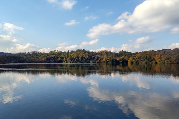 ���˸Фι���2023-2