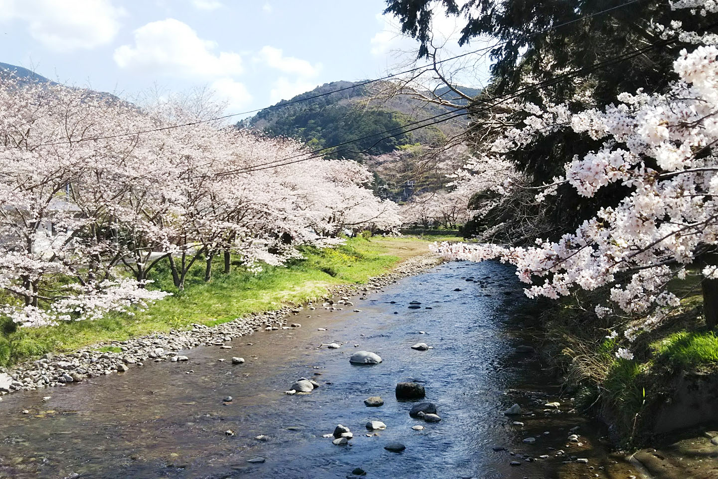 花の六三組