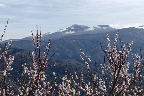 ���������2024-2