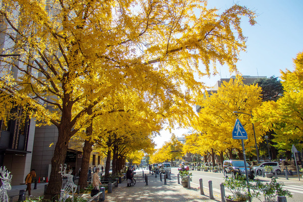 �������̤�ζ�ɤι���2023-1