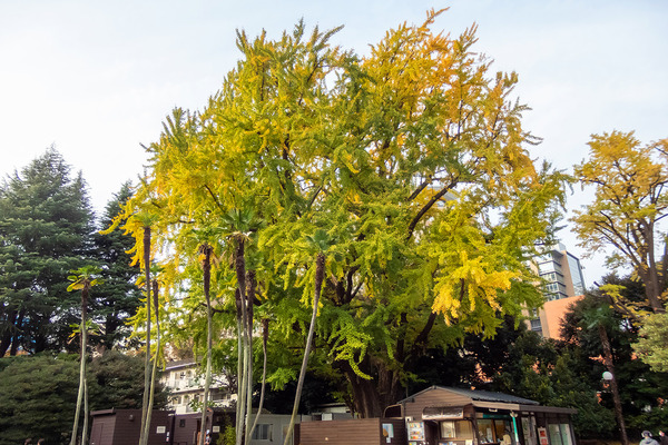 ����š����1