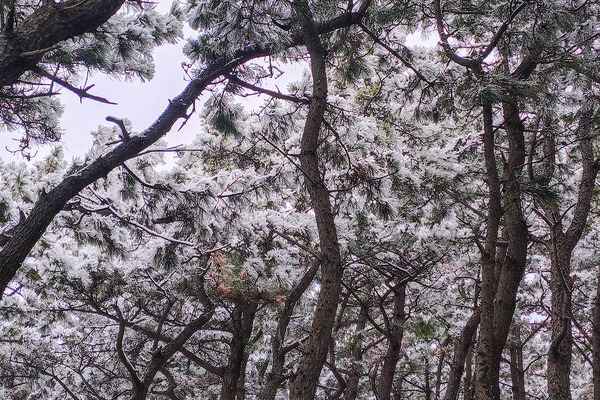 ������ܾ��� 2026-3