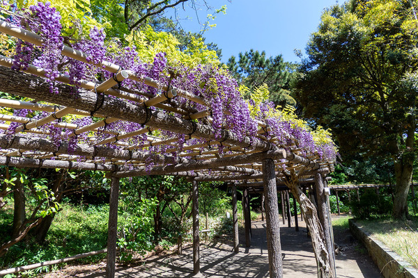 nishiizu202104_3���Ÿ���š��ǰ�����ƣê2021-1