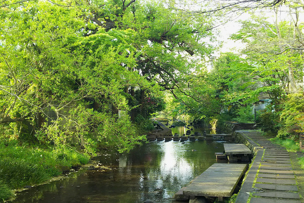 ��ʼ����2017-1