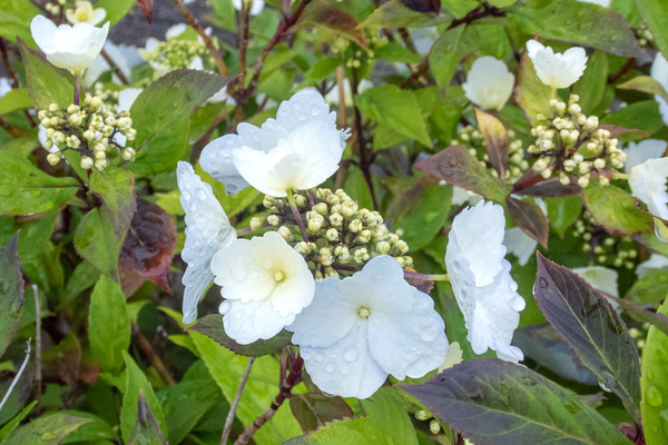 �������� 202504