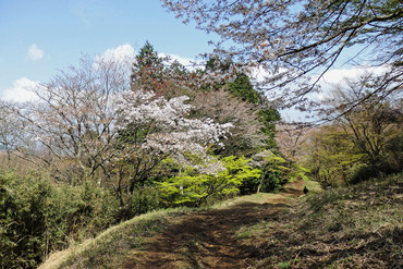 箱根湯坂路2015-1
