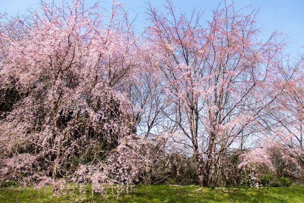 ��ӻ��λ������2024-2