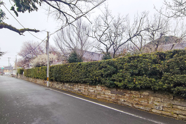 ���������2025-4