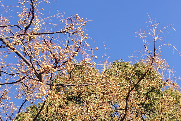 �������μ� 2025-1