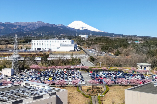 �Ų����󥻥󥿡��β��ź�2024