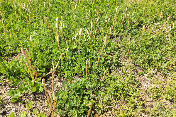 ��������ڼ�ΤĤ���2024