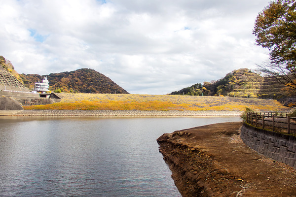 �������ι��� 2025-3