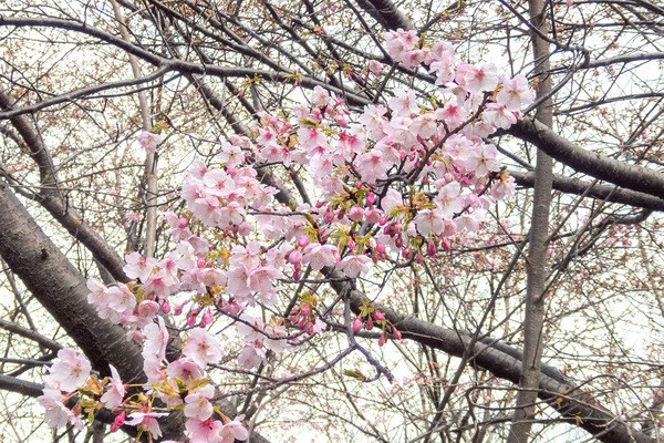 ��ӻ��β��ź�2024-2