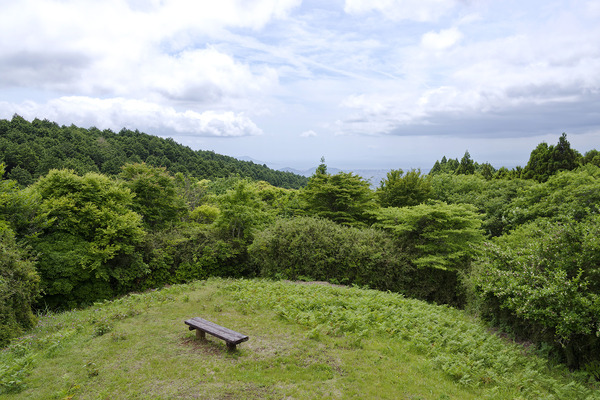 原生の森公園からの展望 2026