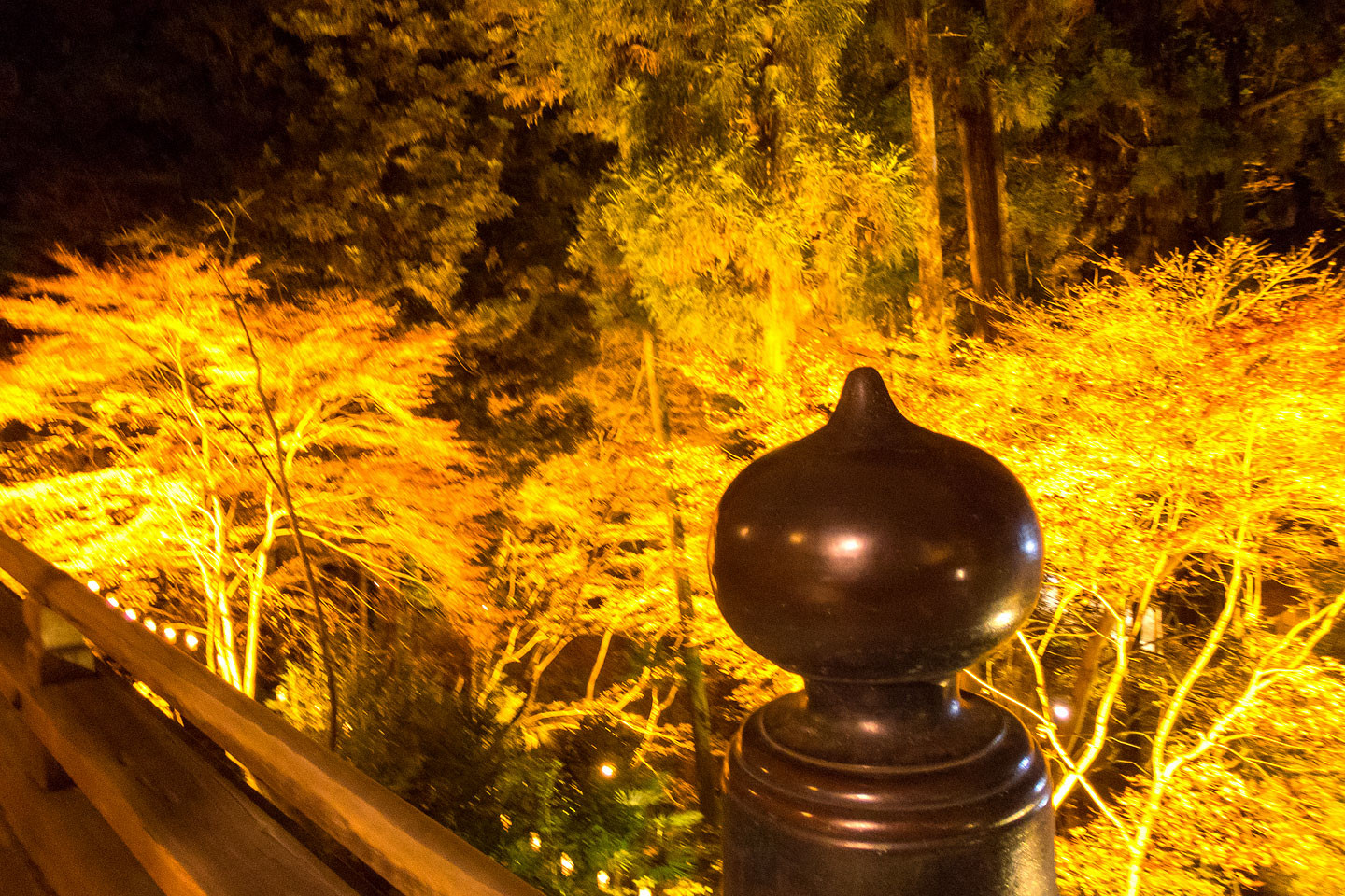 滋賀 石山寺の紅葉ライトアップ 季節の花だより はなつうwest Blog 滋賀 石山寺の紅葉ライトアップ 季節の花だより はなつうwest Blog