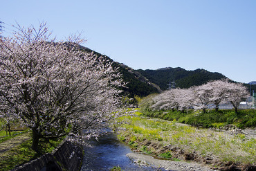 ���� ��2012