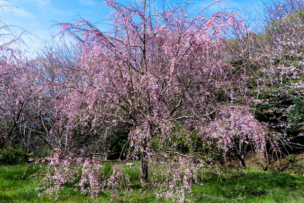 ��ӻ��λ������2020-1