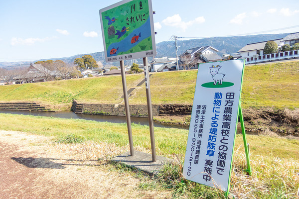 ���Ķ���������� 2026-2