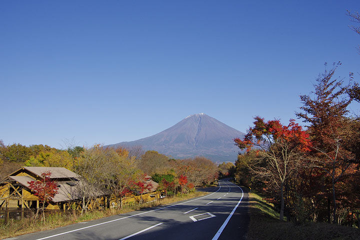 朝霧高原 田貫湖の紅葉11 季節の花だより はなつうwest Blog 朝霧高原 田貫湖の紅葉11 季節の花だより はなつうwest Blog