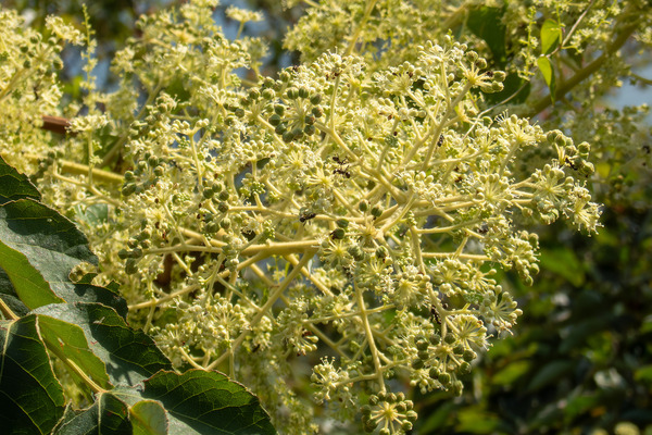 ����Υ��β� 2025-2