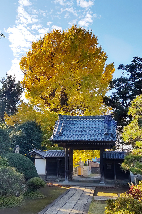 ����ζ�ɤι���2023-2