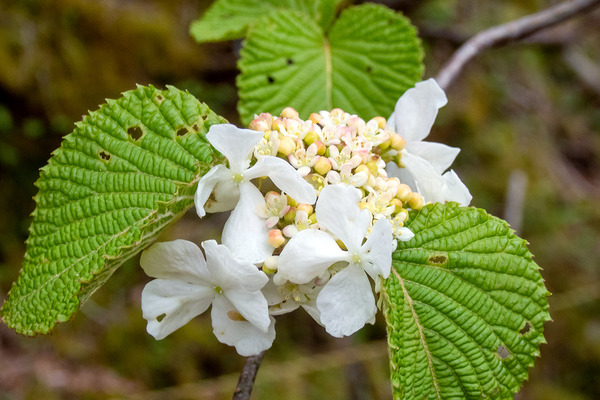 �ٻλ��������λ���������2